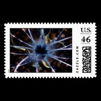 Canapy postage by Increality Canapy postage