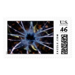 Canapy postage