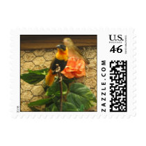 Canaries & Flower stamps