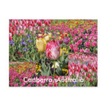 Canberra Australia postcard