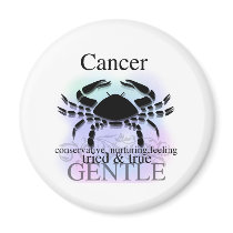 Cancer About You magnets