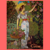 "Cancer" Astrology Sign Woman's Shirt