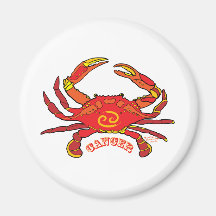 Cancer Fridge Magnets