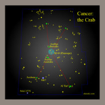 Cancer the Crab Constellation posters