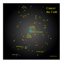Cancer the Crab Constellation posters by cwyong Cancer the Crab Constellation posters
