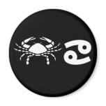 Cancer with Symbol Refrigerator Magnet