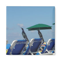 Cancun magnets by wrlssgirl Cancun magnets