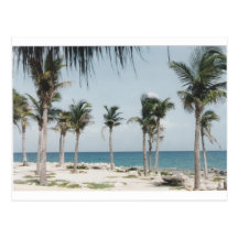 Cancun Palms Post Cards