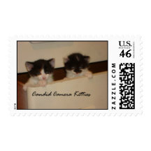 candidcamerakitties stamp