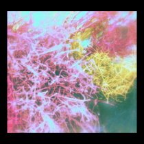 Candied Bush posters