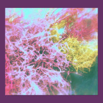 Candied Bush posters
