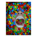 Candies Consumed posters