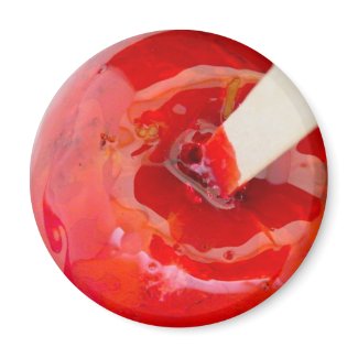 Candy Apple Gifts magnet