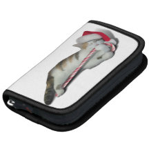 Candy Cane Christmas Kitty Organizer
