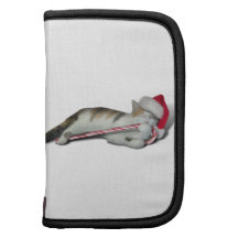 Candy Cane Christmas Kitty Organizers
