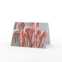 Candy Cane Holiday Cards card