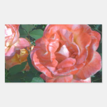 Candy Cane Rose Rectangular Sticker
