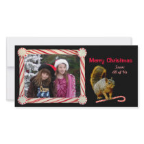 Candy Cane Squirrel Holiday Photo Card photo cards by catsclips Candy Cane Squirrel Holiday Photo Card photo cards