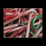 Candy Canes Postcard