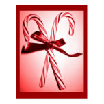 Candy Canes Postcard