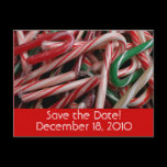 Candy Canes Save the Date Postcard