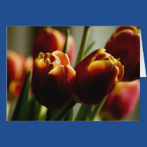 Candy Corn Tulips cards