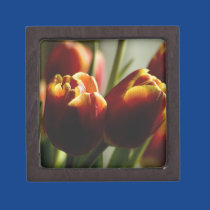 Candy Corn Tulips Premium Gift Box premium gift boxes
