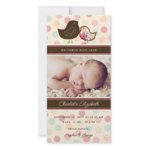 Candy Damask Chicks Birth Announcement Photo Card photo cards