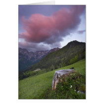 Candy Floss Cloud cards