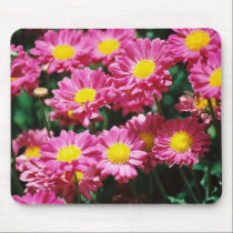 Candy Flowers