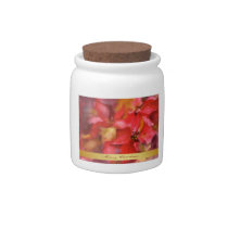 candy jar, poinsettias, merry Christmas candy jars