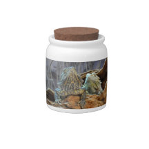 Candy Jar with two curious lizards