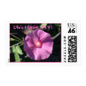 Candy pink morning glory postage by ladyfirebird93 Candy pink morning glory postage