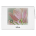 Candy Pink Tulip Greeting Card Candy Pink Tulip Greeting Card