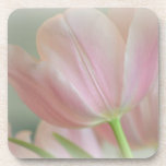 Candy Pink Tulip Beverage Coaster Candy Pink Tulip Beverage Coaster