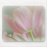 Candy Pink Tulip Mousepads Candy Pink Tulip Mousepads