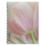 Candy Pink Tulip Spiral Note Books Candy Pink Tulip Spiral Note Books