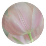 Candy Pink Tulip Party Plate Candy Pink Tulip Party Plate