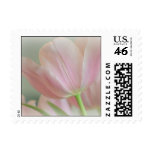 Candy Pink Tulip Stamps Candy Pink Tulip Stamps