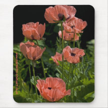 Candy Pops Mousemat Mouse Pads