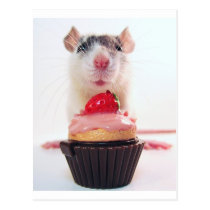 Candy Rat postcards