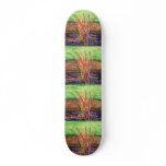 "Candy Sticks" Skateboards