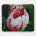Candy Stripe Tulip Mousepad