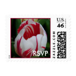 Candy Stripe Tulip RSVP Postage