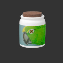 Candy / Treat Jar - Amazon Parrot candy jars