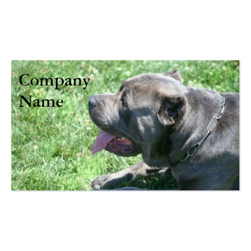 Cane Corso Business Cards (front side)