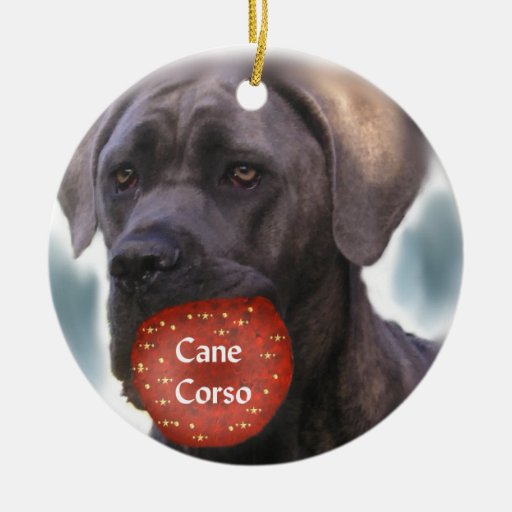 Cane Corso Christmas Ornament Zazzle