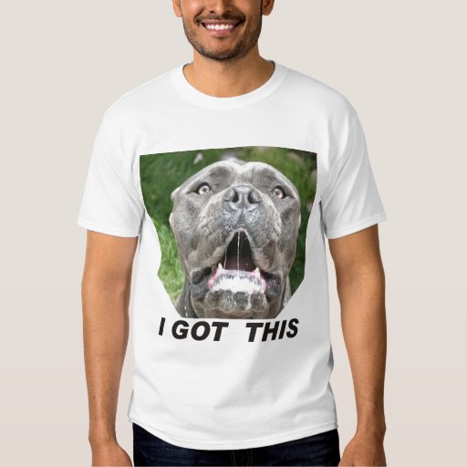 cane corso tee shirts