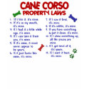 CANE CORSO PL2 t-shirts