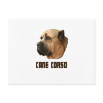 Cane Corso Postcard